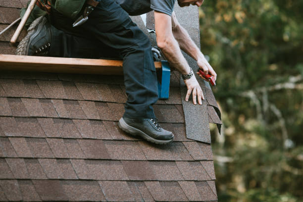 Best Roof Maintenance and Cleaning  in USA